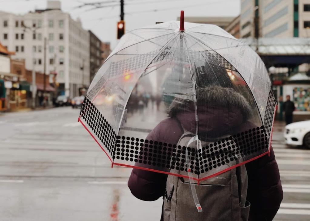A person with their back to the camera carries a clear umbrella