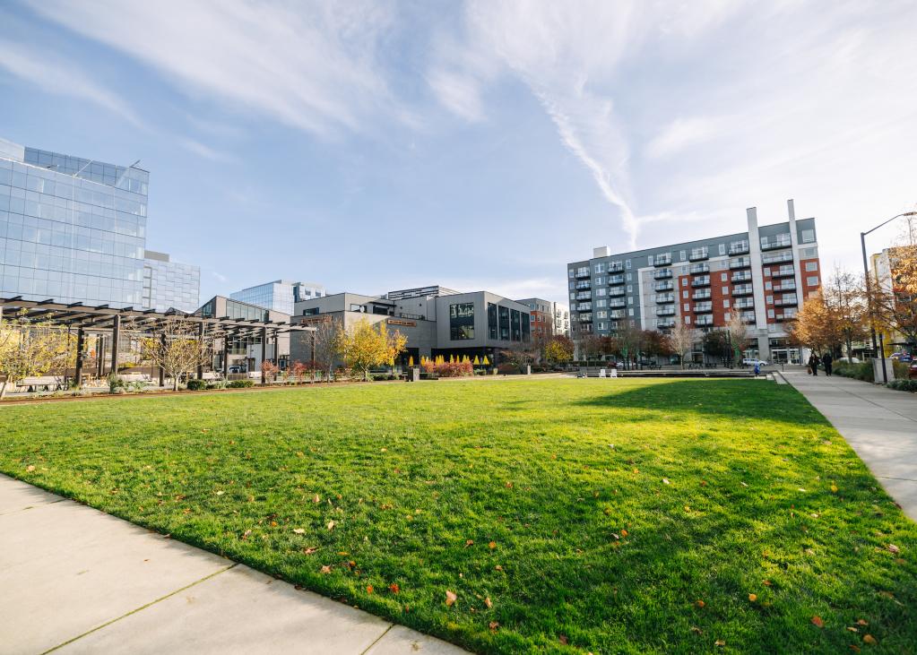 A green space in Bellevue's Spring District surrounded by buildings