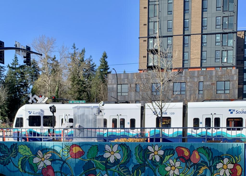 A 2 Line train runs through the BelRed neighborhood, with a colorful floral mural in the foreground