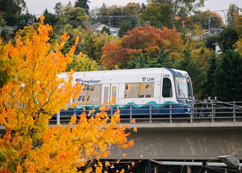 A link train travels through an elevated railway with changing leaves in the foreground