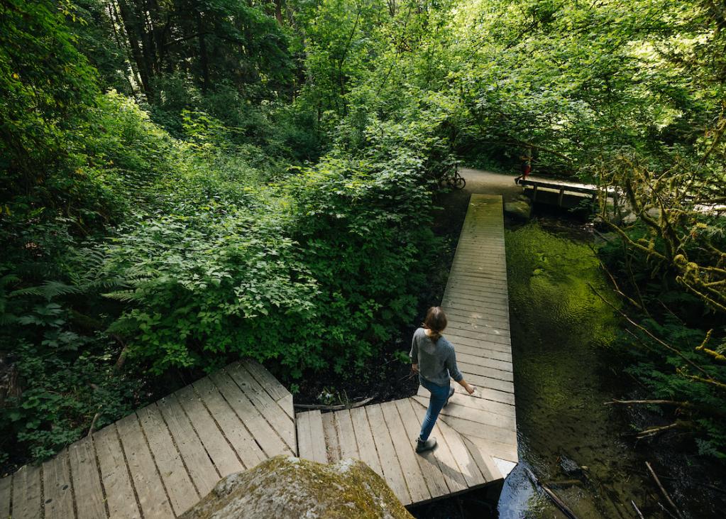 A person walks on boardwalks through the trails in Ravenna Park