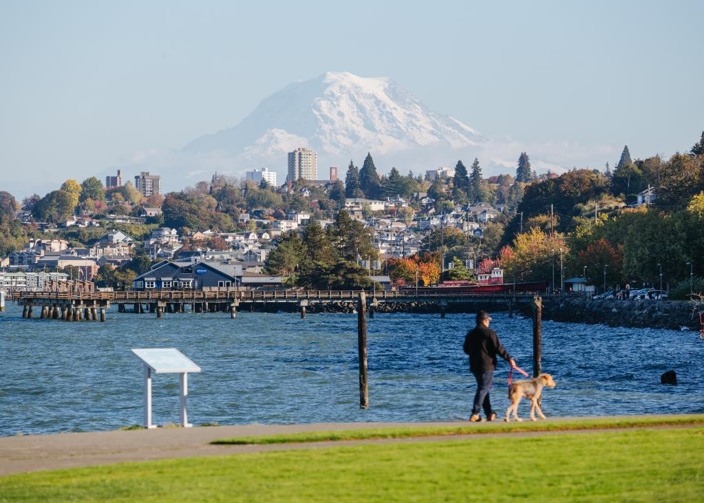 Mount Rainier looms over a hill and a body of water in Tacoma